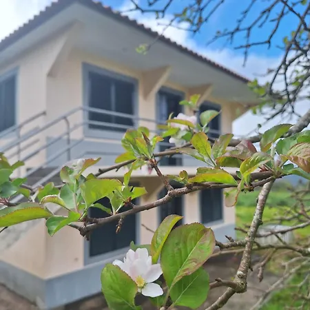 펜션 Correia - Ribeiro Frio *
